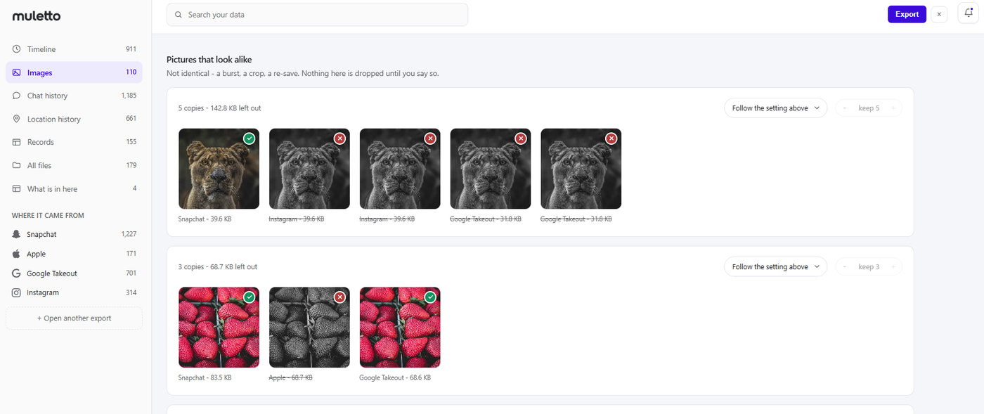 Groups of near-identical photos found across Snapchat, Instagram and Google Takeout, with one kept and the rest marked to leave out.